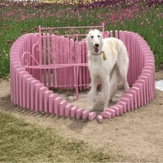 💜