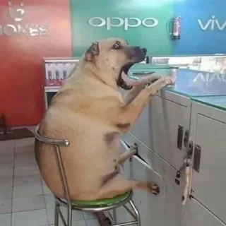 😮