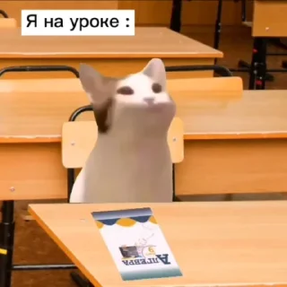 🥸