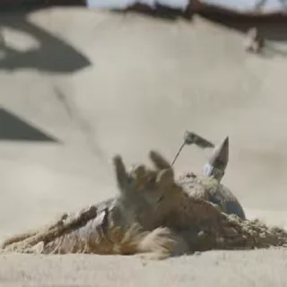 😮‍💨