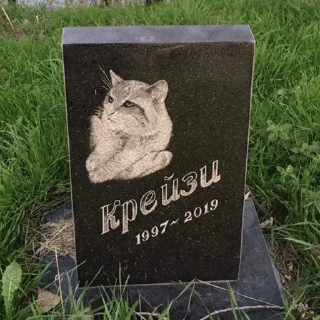🤡