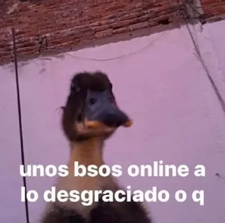 😏