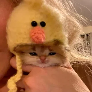 🥰