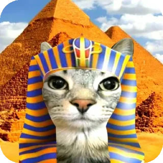🐱