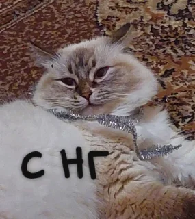 🎄