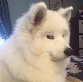 😏