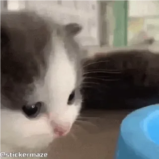 😔