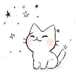 🐱