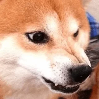 😠
