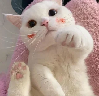 💋
