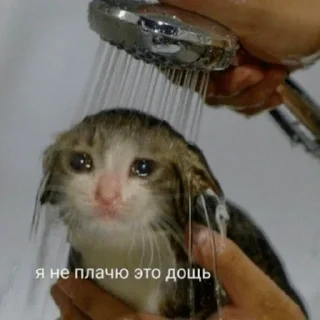 😢