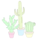 🌵