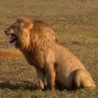 😂
