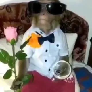 😎