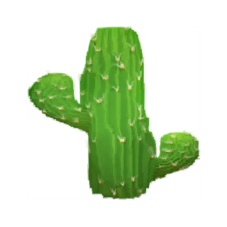 🌵