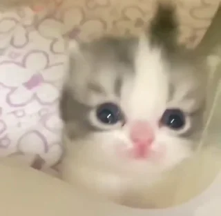 🤭