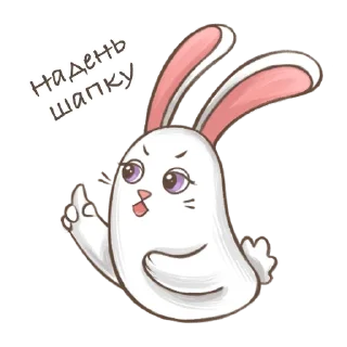 🐰