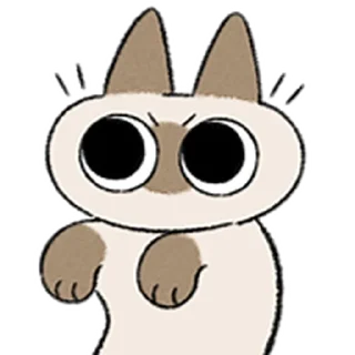 😺