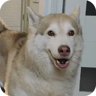 😁