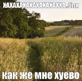 🧂