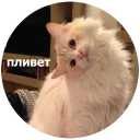 Кусь