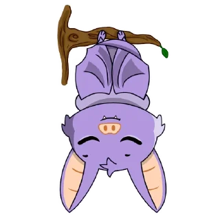 😴