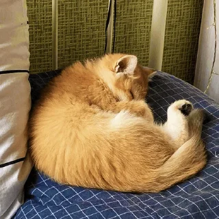 😴