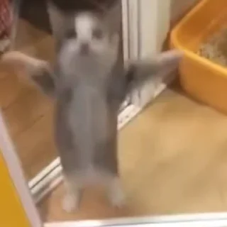 🥳