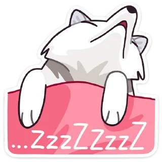 😴