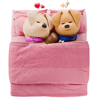 😴