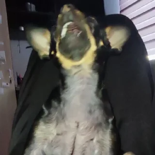 😡