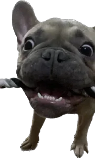 😝