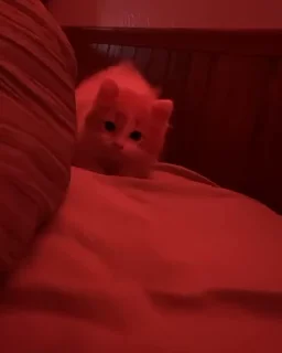🥰