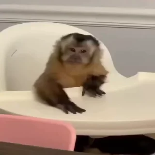 😠