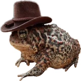 🤠