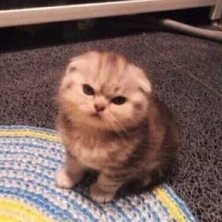 😡