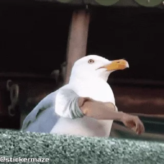 😡
