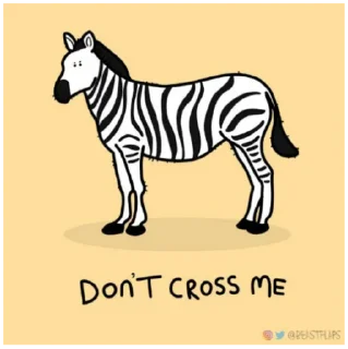 🦓