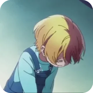 🌟