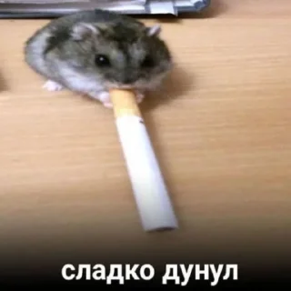 🚬