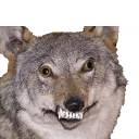 😁