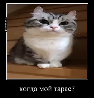 😭
