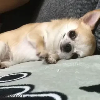 ☺️