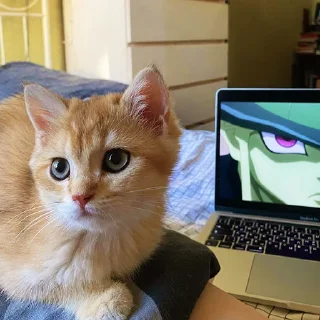 👀