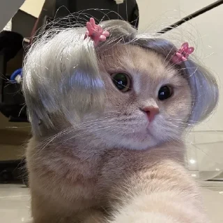 💅