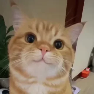😁