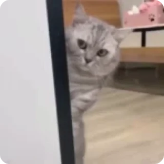 👀