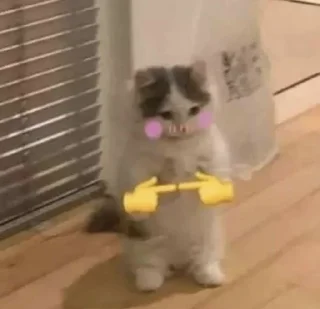 👉