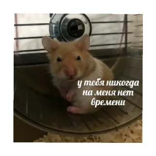 😒