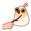 🤨